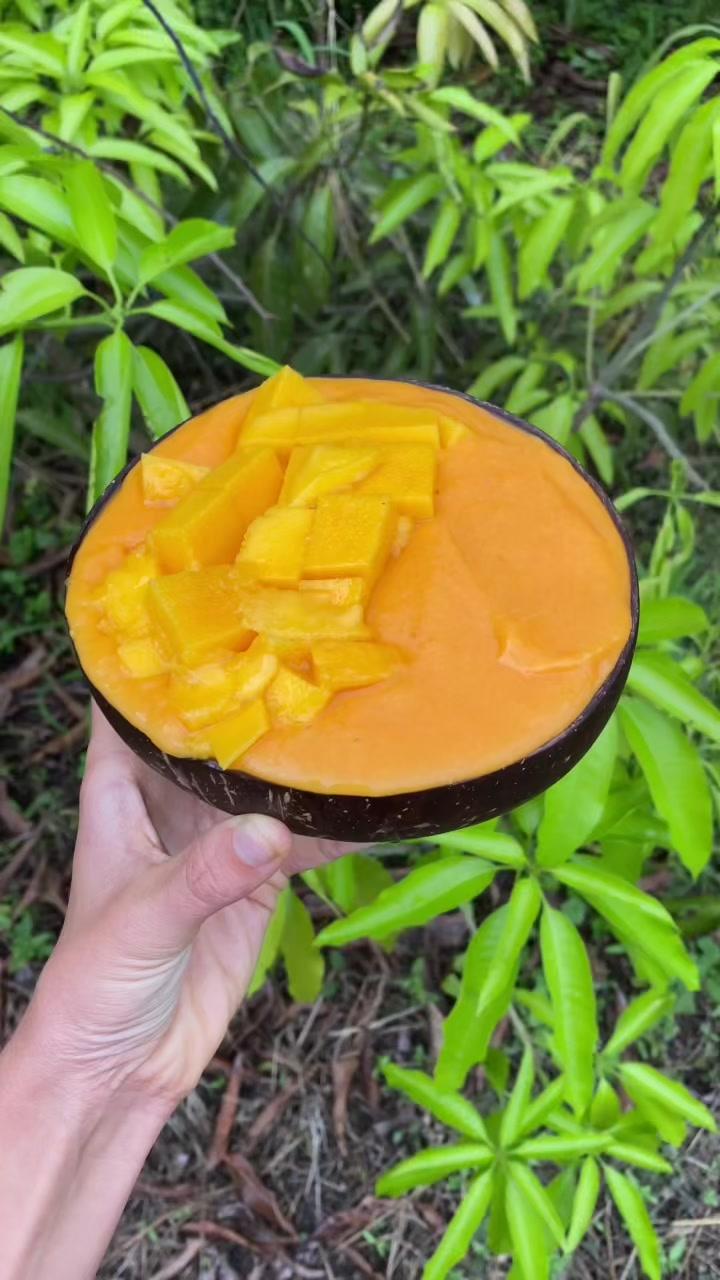 Mango szn is peaking here 😢 #floridamango #mango #jackfruit #smoothiebowl