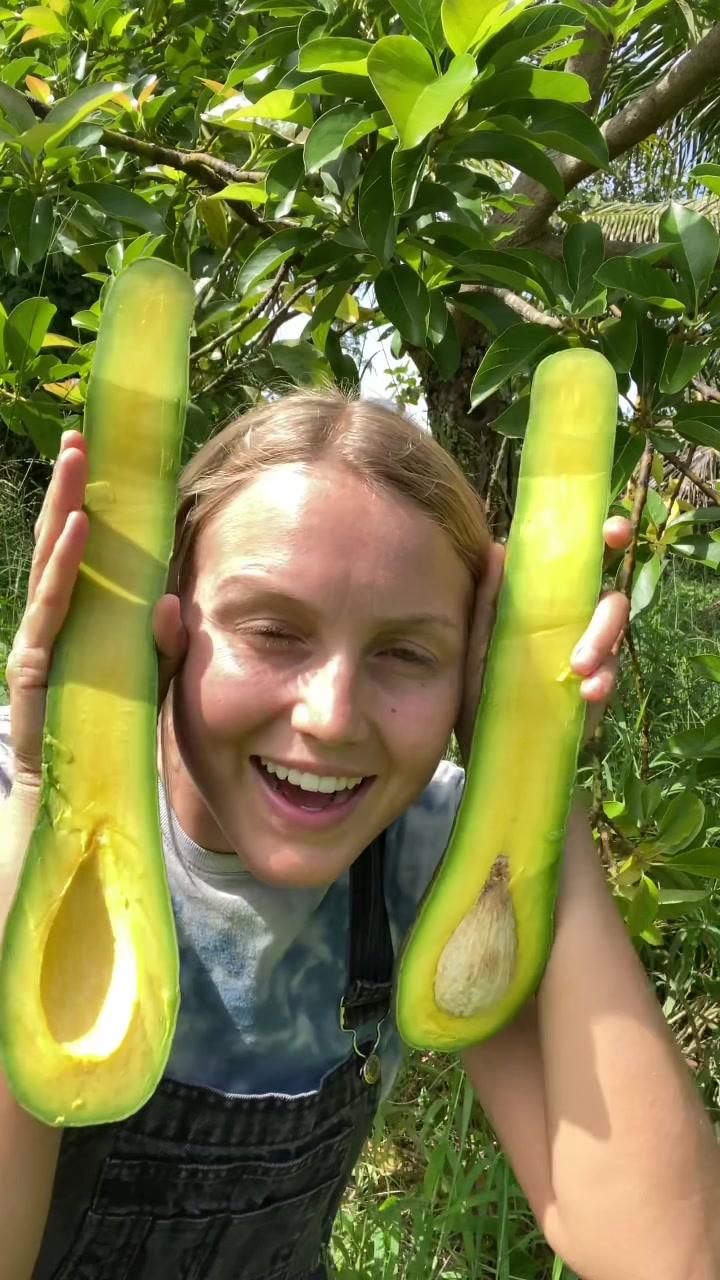 🦒🥑 Use code: LONGNECK22 to save $22 on a small or large long neck avocado box 📦 #longneckavocado