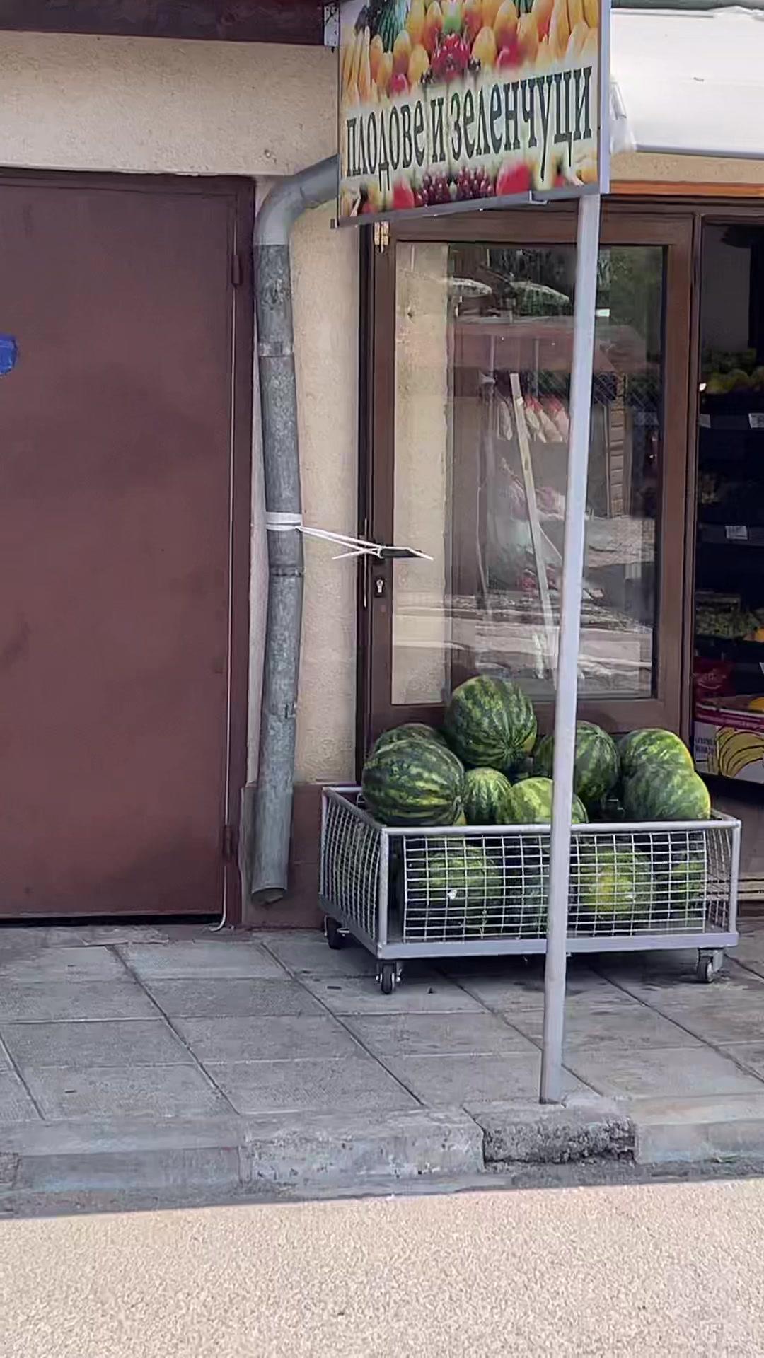 Wir haben die Wassermelone vergessen😭 insta: @diademlori