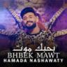 Hamada Nashawaty