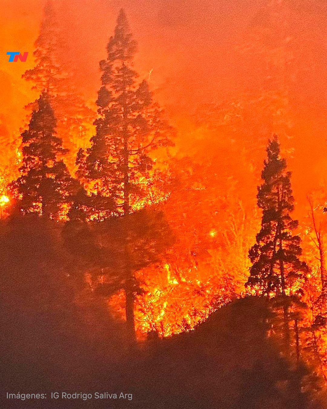 Drama en la Patagonia por un incendio forestal en el Parque Nacional Nahuel Huapi

El fuego empezó ayer, en la zona del Brazo Tristeza, al sur del área protegida y por precaución están cerrados los senderos y circuitos turísticos. 

El área está en alerta extrema.  Las llamas ya arrasaron con más de 3.500 hectáreas de bosque en el Parque Nacional Los Alerces, y parte de la provincia de Chubut.