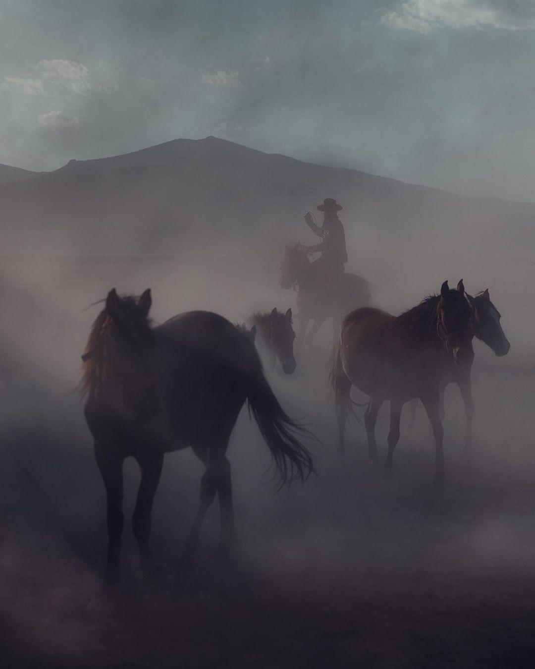 class="content__text"
 You don’t really see wild horses everyday, and it’s the thrill of a lifetime, but mostly all you ever see is a cloud of dust, and after, they are gone 💨 
 