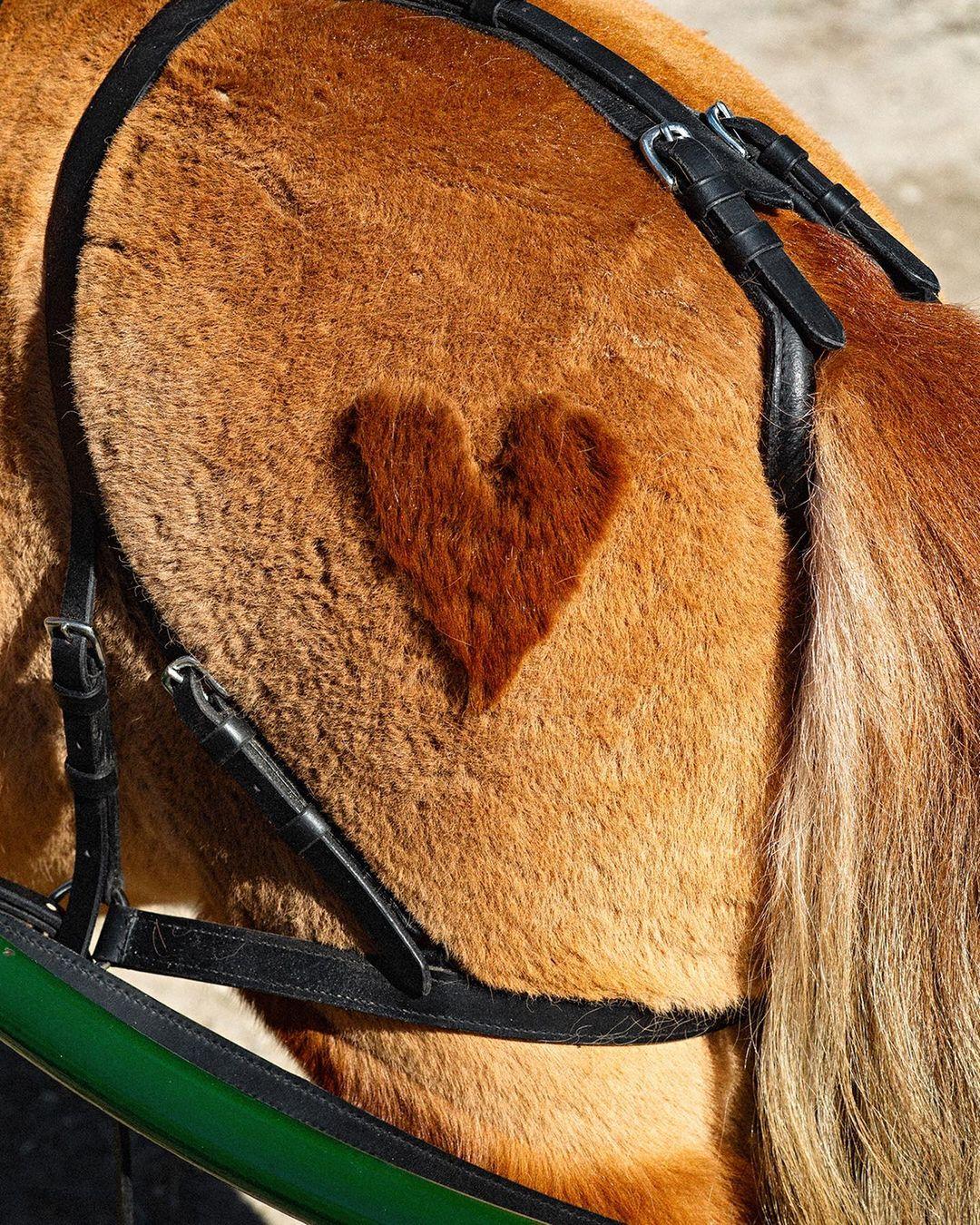 Love is in the (H)air.
🐴

Join us for the 12th edition of the Saut Hermès 2022, 18–20 March at the Grand Palais Éphémère at sauthermes.com.

Reserved for the best riders in the world and the youngest riders under the age of 25, the Saut Hermès is also a place to meet others from the horse world, with a series of unique experiences.

#InternationalJumping
#SautHermes
#HermesSellier