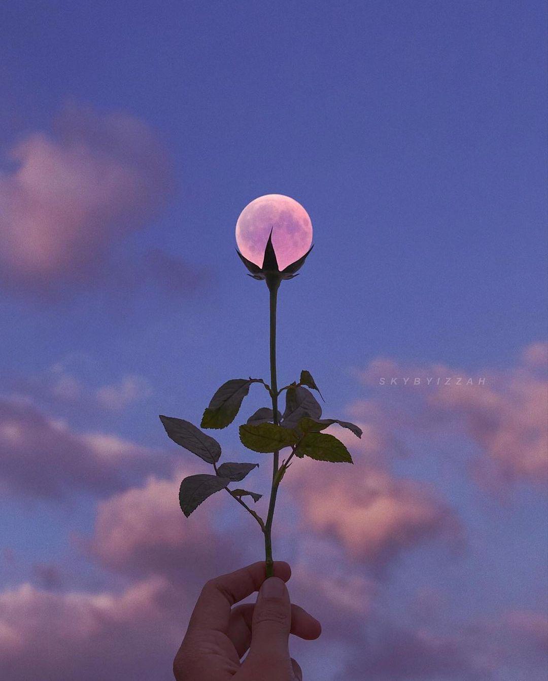 class="content__text"
 “Moon of Flowers” 🌙💜 Choose Your Favorite (1-8) 🔭

Do you love this Photo? ❤

Are you ready to explore Deep Space 🔭
@TheOurDeepSpace 

Image credit: @skybyizzah