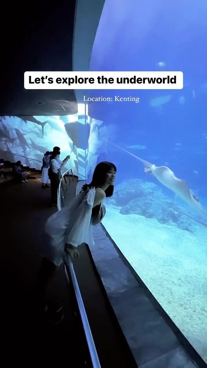 class="content__text"
 Join me and explore the Underworld 🐟🐬🐳🐋🦈🐡🦭🐙🦐🦞🦀

✅They have the Best Open Ocean Tank Fish Feeding Show that you must not miss!! 🤩

✅ Always check and book your ticket in advance with @klookmy #linkinbio

📍 Kenting National Museum of Marine Biology &amp; Aquarium 国立海洋生物博物馆，垦丁

👏🏻 
—
ꪶꪮꪜꫀ,
Ｈ A N L I B U B U
@hanlibubu
𝚠𝚠𝚠.𝚑𝚊𝚗𝚕𝚒𝚋𝚞𝚋𝚞.𝚌𝚘𝚖 
 
