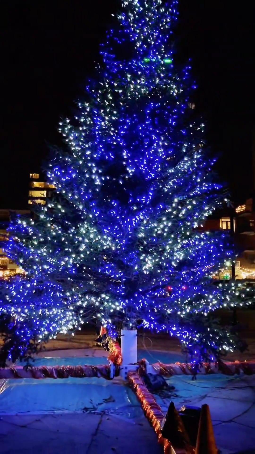 class="content__text"
 The lights of the @evergreenfestns are making downtown Halifax so pretty. Have you taken in the festivities?

Featured video by @mr._prinsu 

 #VisitNovaScotia #ExploreCanada 
 