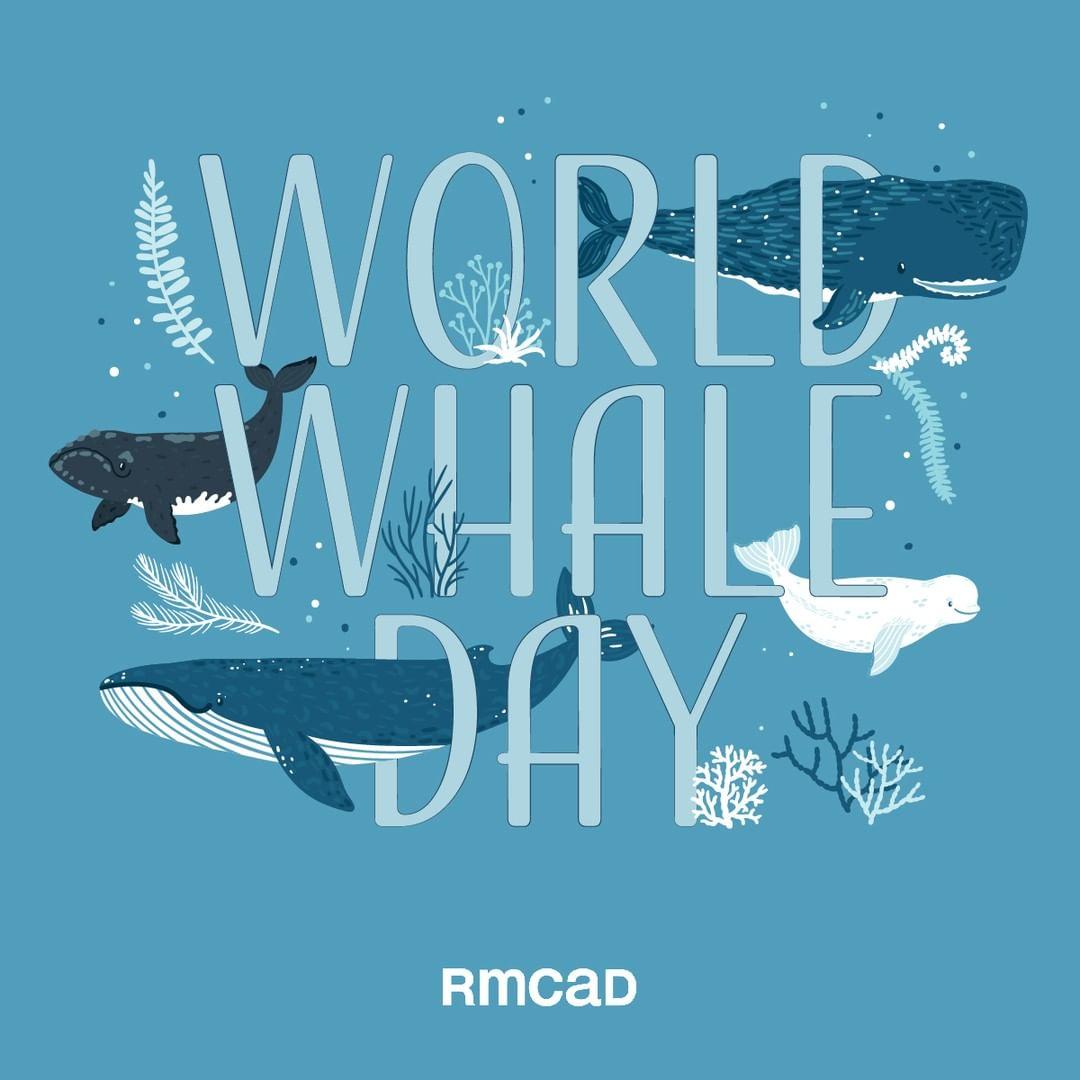 class="content__text"
 Happy World Whale Day! 
 