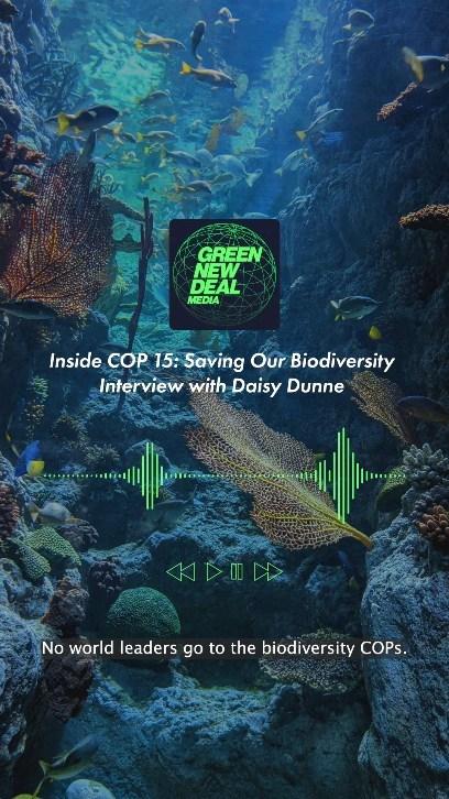 class="content__text"
                        Why did the media pay less attention to  #cop15 than  #cop27? And how do we get more people to care about biodiversity loss? 🦎

We spoke to @carbonbrief  special correspondent Daisy Dunne, who went to COP15, about saving our biodiversity 🐠

Head to our website to listen to the full interview: gndmedia.co.uk. 
 