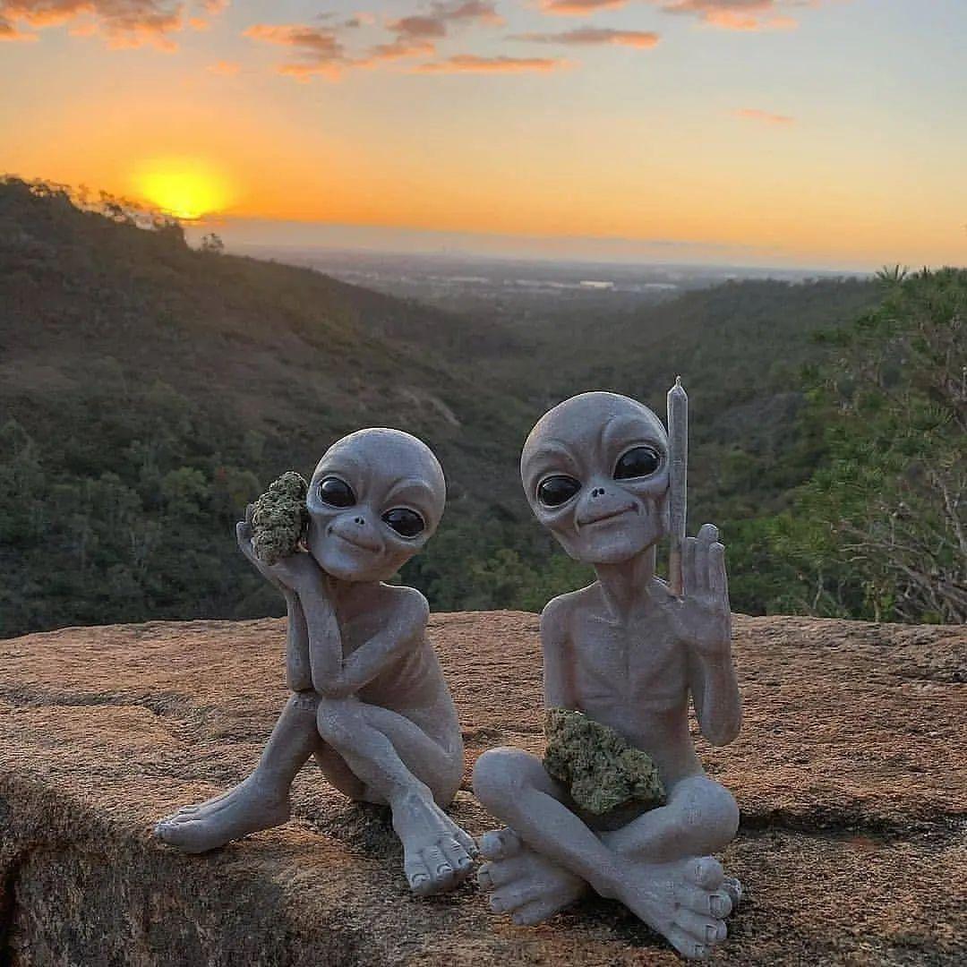 class="content__text"
 Aliens have come in peace 🛸 Do you believe in Aliens? 👽🔭

Do you love this Photo? ❤

Are you ready to explore Deep Space 🔭 @TheOurDeepSpace 

Image credit: redheadedstranger_420 
 