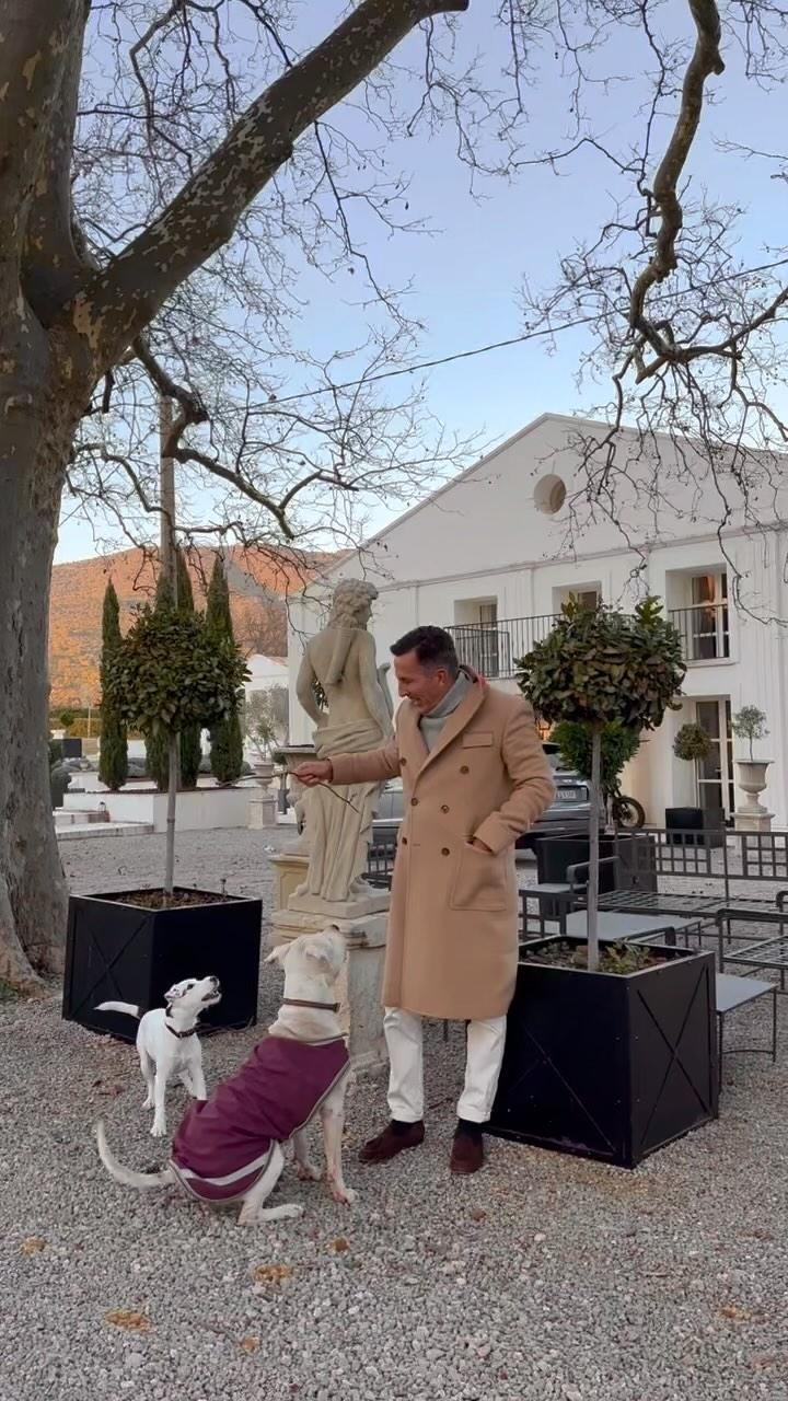 class="content__text"
 Swingin’ with the dogs… 🐶😂😉🤟 After a tough day - and a very long (business) week - in Monaco, there is no better way to clear the head than by playing with the pack ! 🐶🤟 When I returned this evening to my Provençal weekend pad - just in time for the sunset - , my old friend and neighbor Nougat was waiting for us… 🐶😍❤️. Naturally, a happy &amp; very playful reunion ensued… 🤣🤟I will post part 2 of the human-canine madness tomorrow, stay tuned ! 😂😉😉 Wishing everyone a great weekend ahead ! #friday #tgif #inspiration #weekend #motivation #weekendvibes #happy #gentleman #fashion #happy #dog #friends #goodvibes #lifestyle 
 