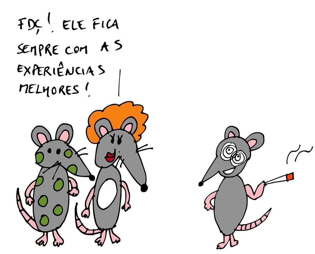 class="content__text"
 Três ratos de laboratório. 
 