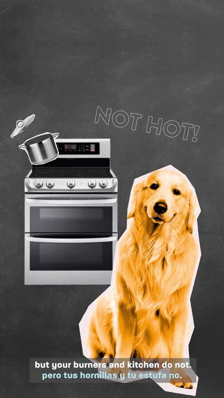 class="content__text"
 Induction stoves provide more efficient cooking and allow Americans to save money while saving the planet. 

But the savings don’t stop there. 

Our NEW @ENERGY Savings Hub is your guide to slashing your energy costs. ⚡️💵 

www.energy.gov/save #linkinbio 
 