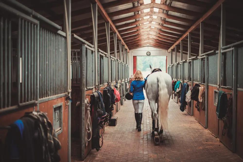 Equestrian Sports: Showcasing the Athleticism of Horses