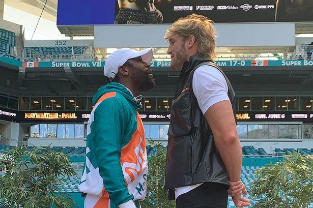 Logan Paul Vs Mayweather