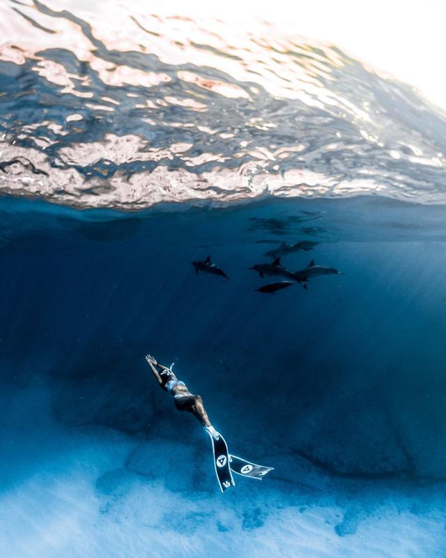 Photo of the Day: Sunny with a chance of dolphins 🐬 #GoProHERO12 Black snap by @john80125 + @jengchen for a $500 GoPro Award.

#GoPro #GoProAwards #Hawaii #Diving #Freediving #Dolphins