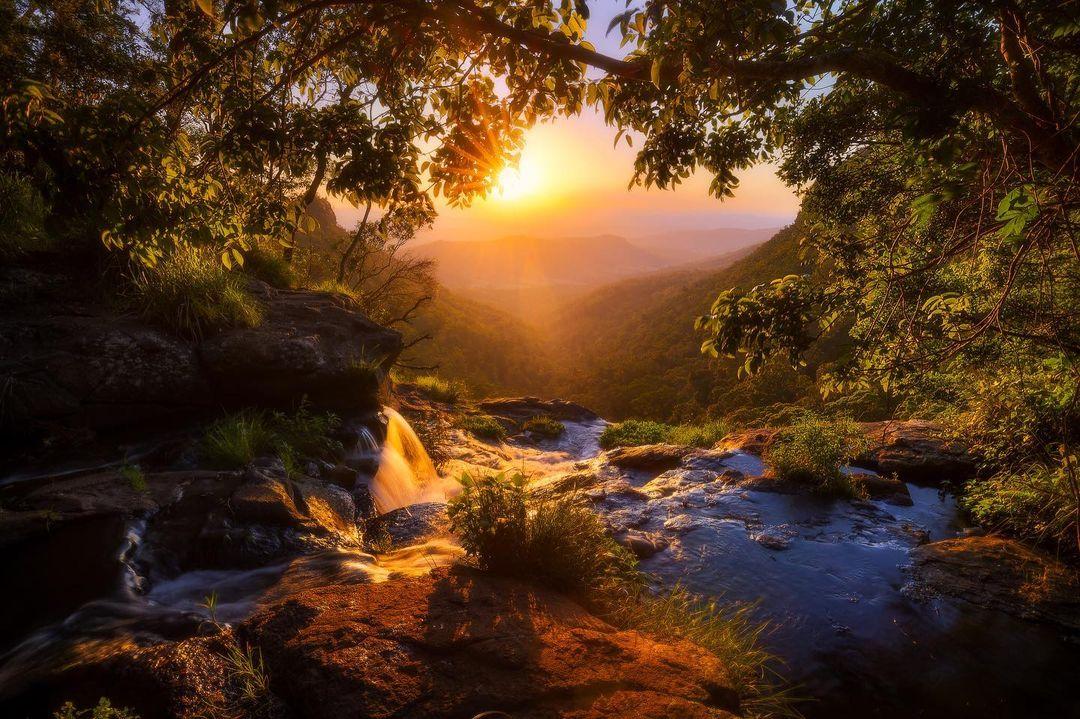 class="content__text"
 Do you see fairies floating around 🧚‍♀️? That was the feeling I had watching sunset from Morans falls. Have a great Anzac Day holiday tomorrow all! #everlookphotography #australia #seeaustralia #queensland #visitqueensland #moransfalls #waterfall #sunset #nature #goldcoast #visitgoldcoast #goldcoasthinterland @oreillysrainforestretreat @nisiglobal @nisifiltersaustralia 
 